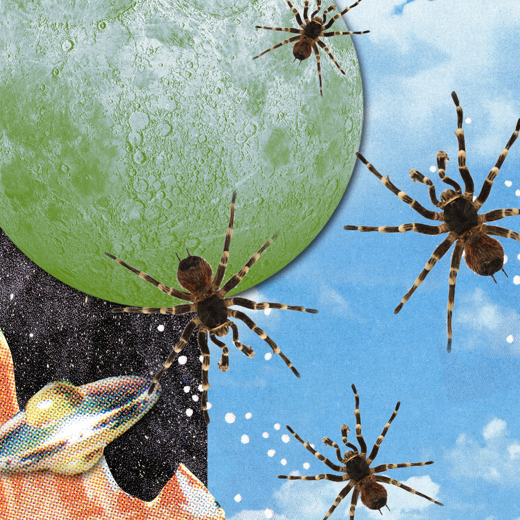 dream-about-spiders-what-does-it-mean